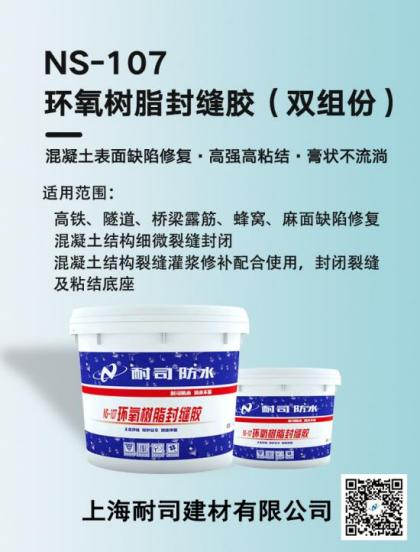 NS-107环氧封缝胶